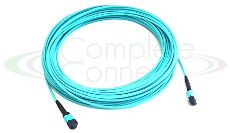 Panduit 12 Fiber OM4 MPO To MPO 11M